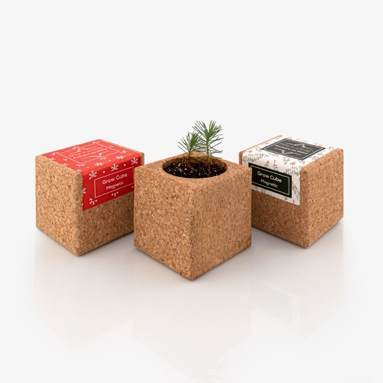 Cubo em cortiça para fazer crescer um pinheiro de Natal - Grow your own Christmas tree in a magnet cork cube
