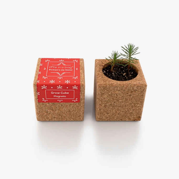 Cubo em cortiça para fazer crescer um pinheiro de Natal - Grow your own Christmas tree in a magnet cork cube