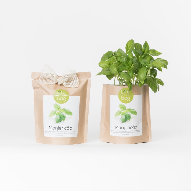 Grow your own basil in this bag