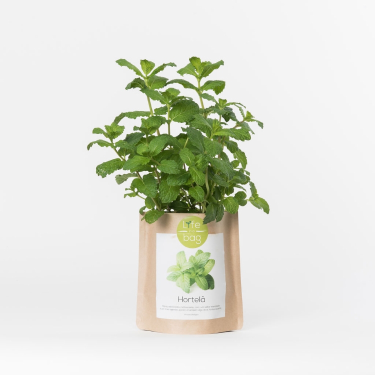 Grow your own peppermint in this bag
