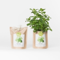 Grow your own peppermint in this bag