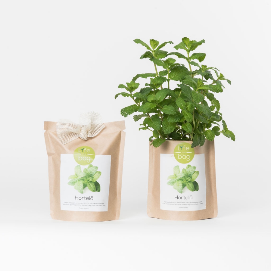 Grow your own peppermint in this bag