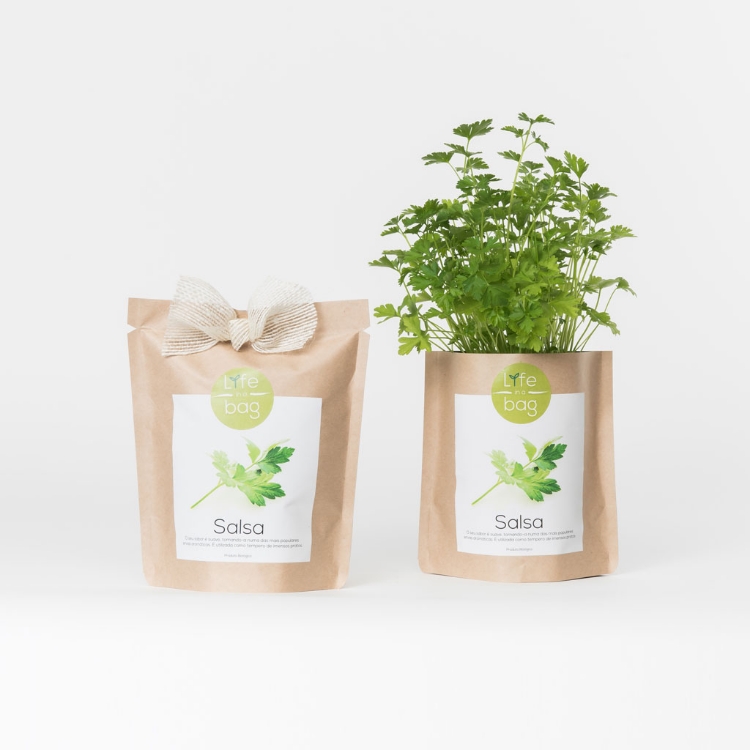 Grow your own parsley