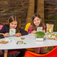 Grow your own sunflower in this bag