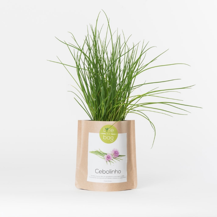 Grow your own chives in this bag