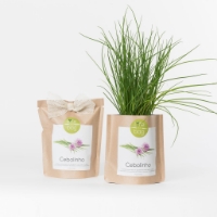 Grow your own chives in this bag