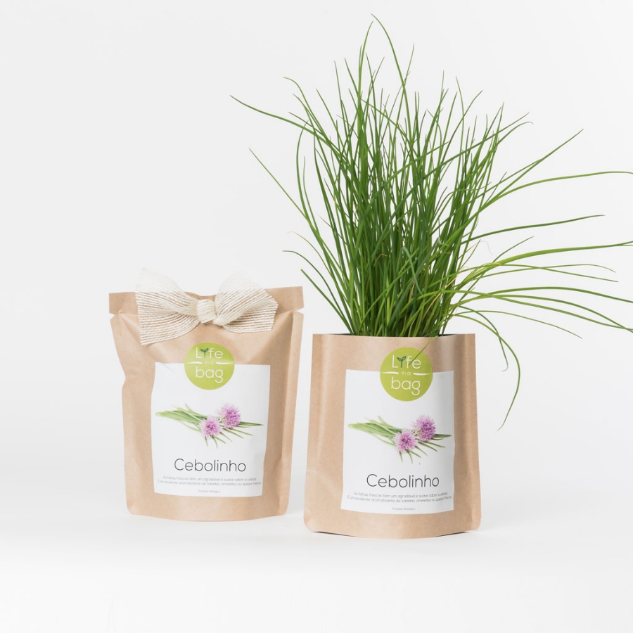 Grow your own chives in this bag