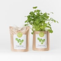 Grow your own coriander in this bag