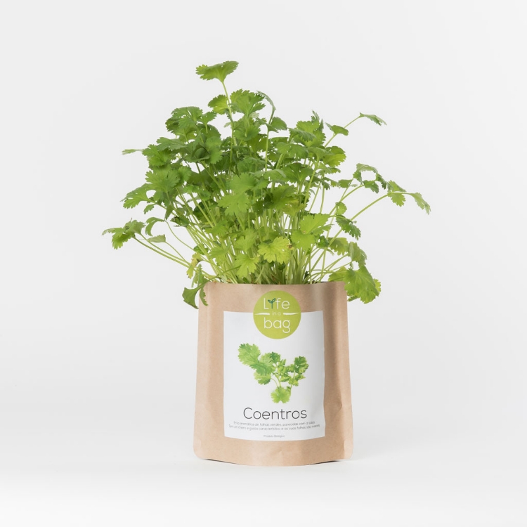 Grow your own coriander in this bag
