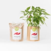Grow your own chili pepper in this bag