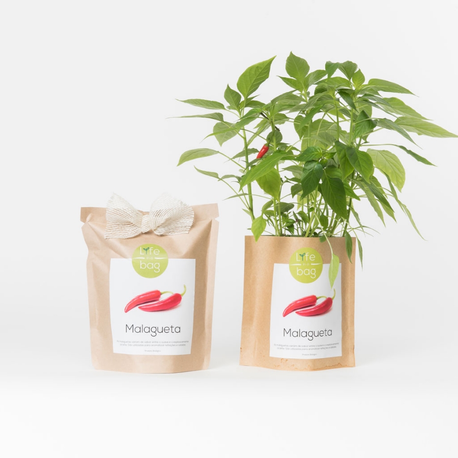 Grow your own chili pepper in this bag