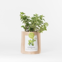 Grow your own oregano in this bag
