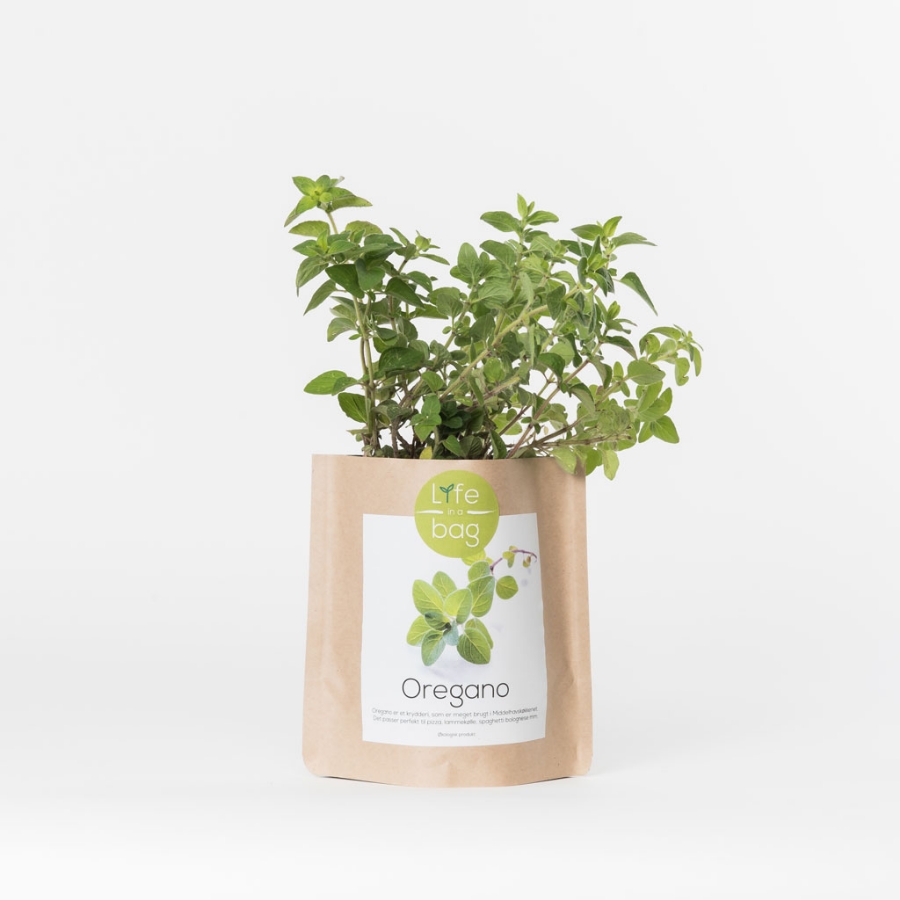 Grow your own oregano in this bag