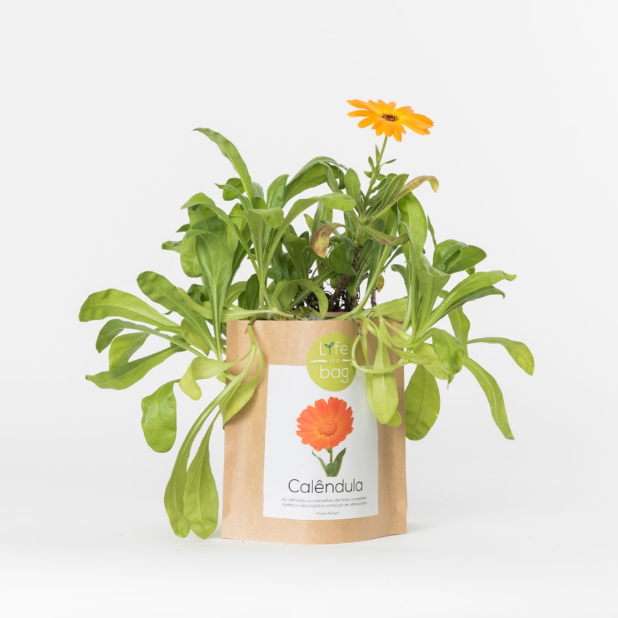 Grow your own calendula in this bag
