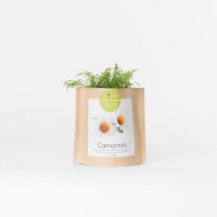 Grow your own chamomile in this bag