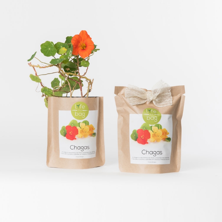 Grow your own nasturtium in this bag