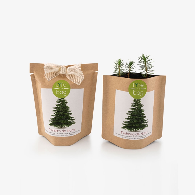 Grow your own Christmas tree in this bag