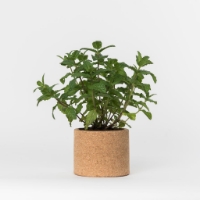 Grow your peppermint in this cork pot