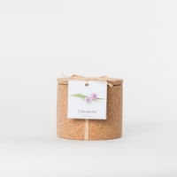 Grow your chives in this cork pot