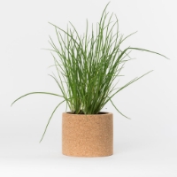 Grow your chives in this cork pot