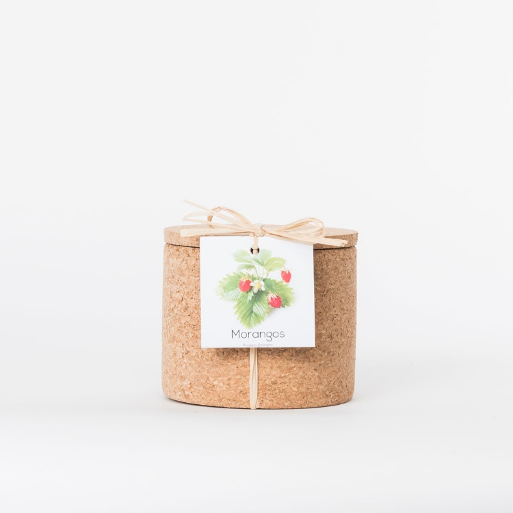 Grow your own wild strawberry in this cork pot