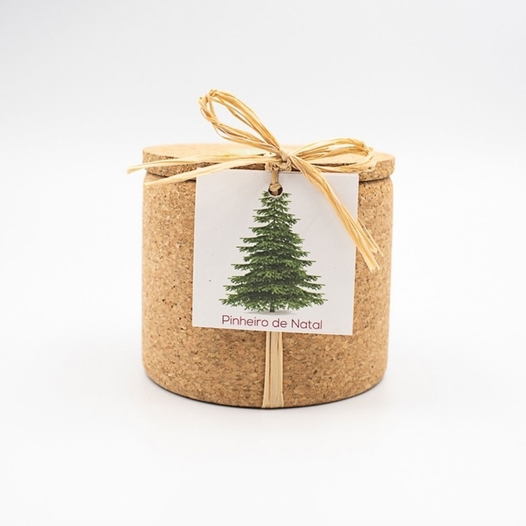 Grow your own Christmas tree