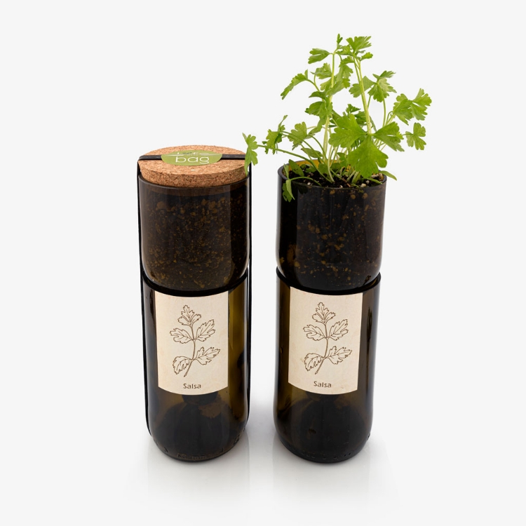 Grow parsley in a bottle