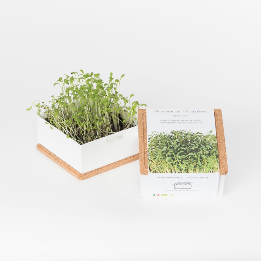 Grow microgreens of cress