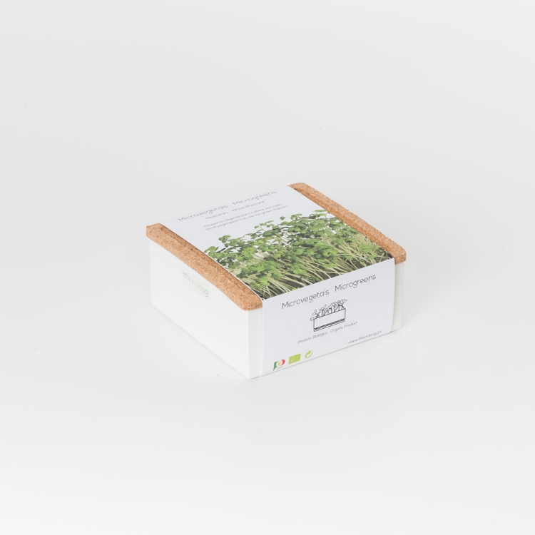 Grow microgreens of white mustard