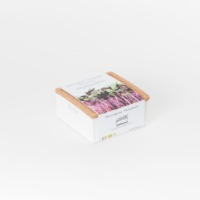Grow microgreens of radish