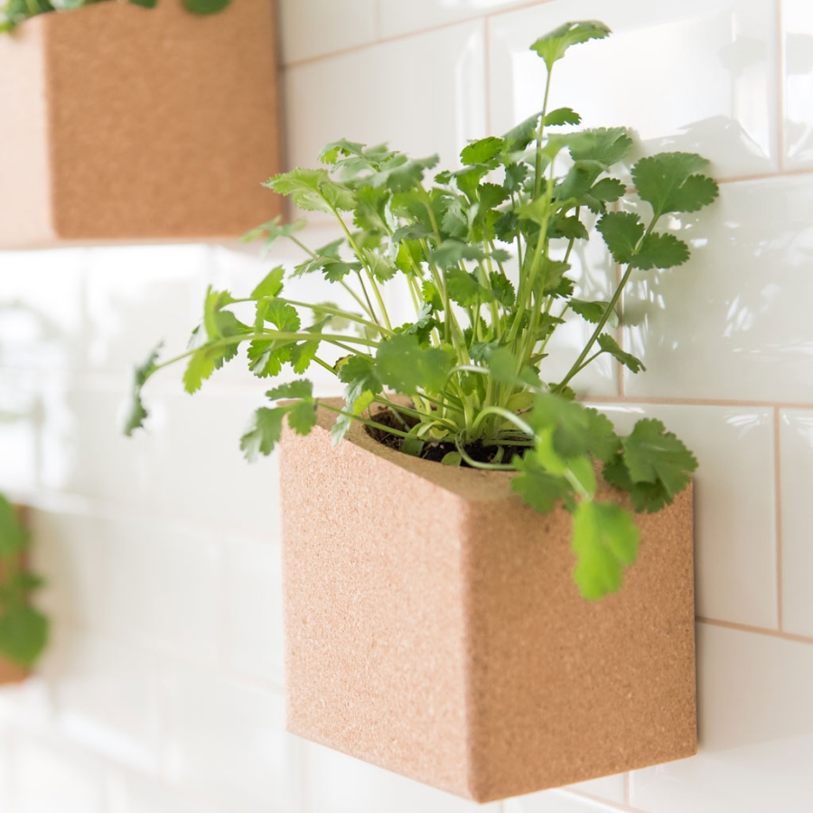 Image de Pack Cher Parrain