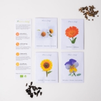 Organic seeds flowers