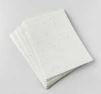 Imagem de Conjunto de 10 folhas em papel com sementes