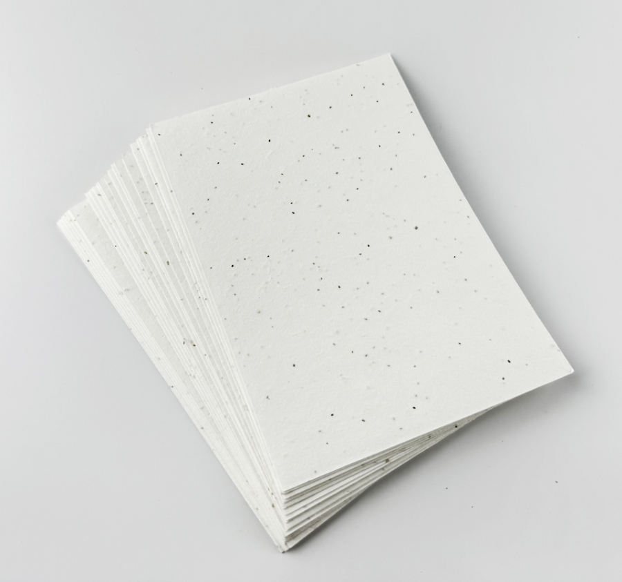 Imagem de Conjunto de 10 folhas em papel com sementes