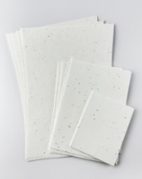 Imagem de Conjunto de 10 folhas em papel com sementes
