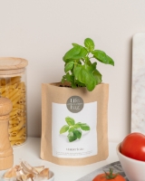 Imagem de Grow Bag Manjericão