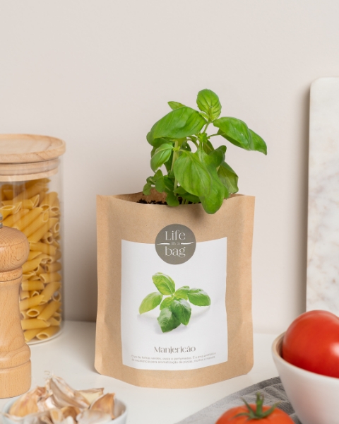 Imagem de Grow Bag Manjericão