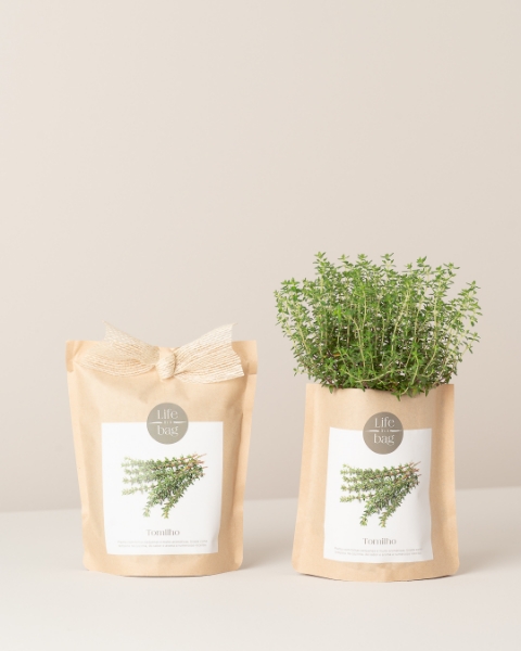 Imagem de Grow Bag Tomilho