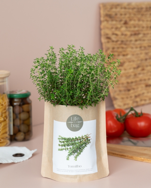 Imagem de Grow Bag Tomilho