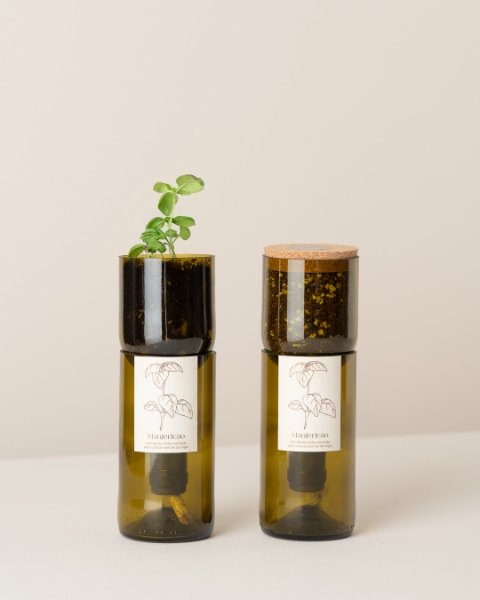 Imagem de Grow Bottle Manjericão