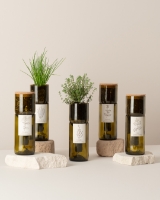 Imagem de Grow Bottle Manjericão