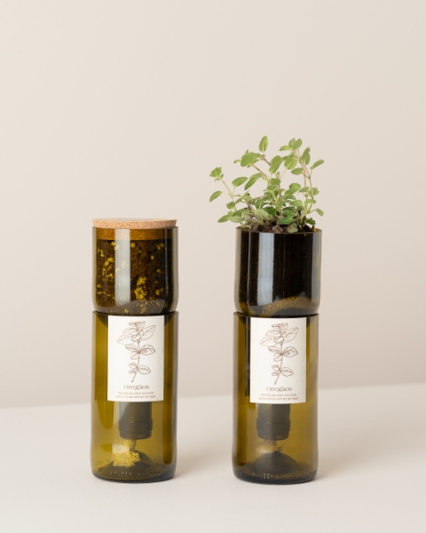 Imagem de Grow Bottle Oregãos