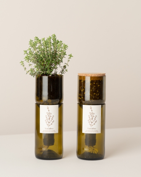 Imagem de Grow Bottle Tomilho