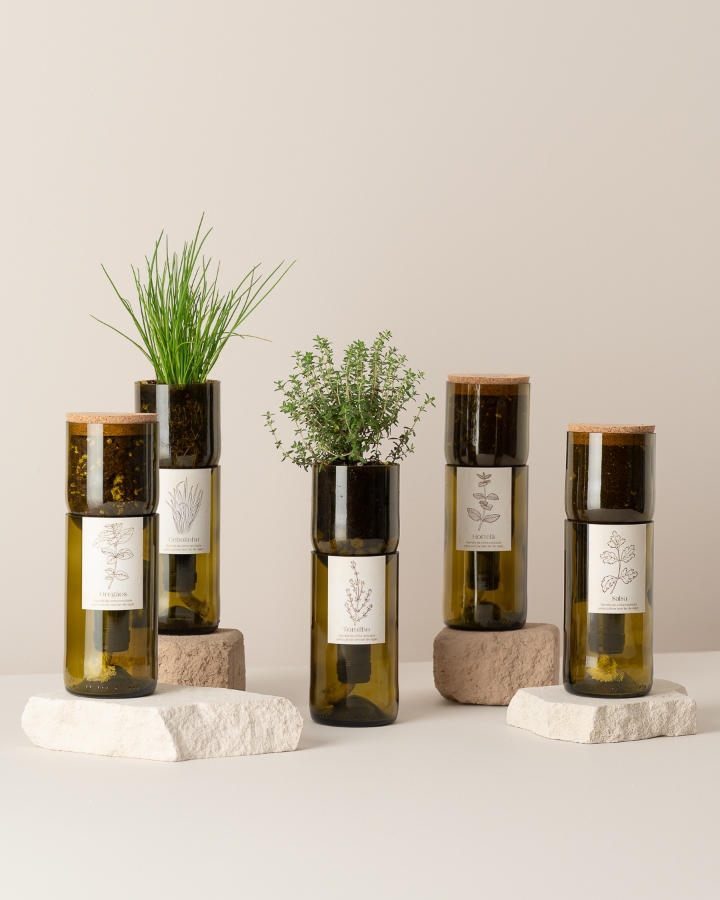 Image de Grow Bottle Coriandre