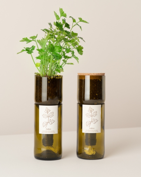 Imagem de Grow Bottle Salsa