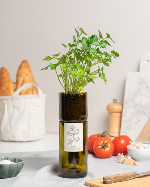 Imagem de Grow Bottle Salsa