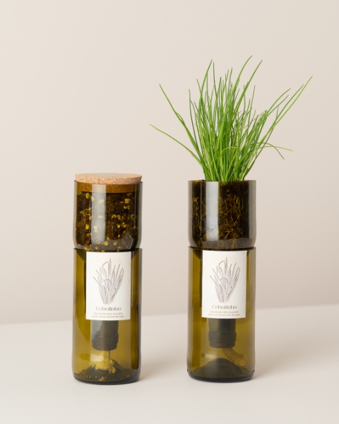 Imagem de Grow Bottle Cebolinho
