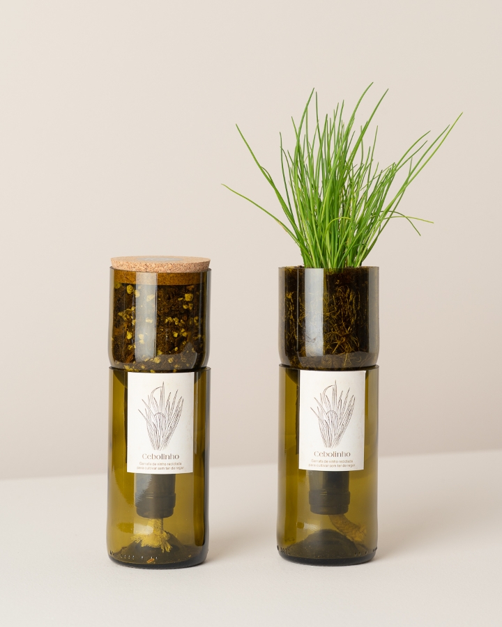 Imagem de Grow Bottle Cebolinho