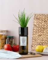 Imagem de Grow Bottle Cebolinho