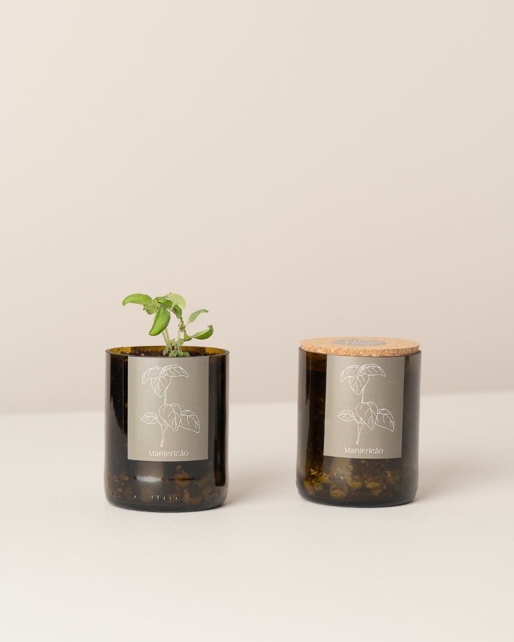 Image de Bottle Garden Basilic